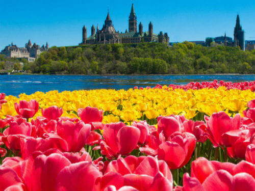Primavera no Canadá